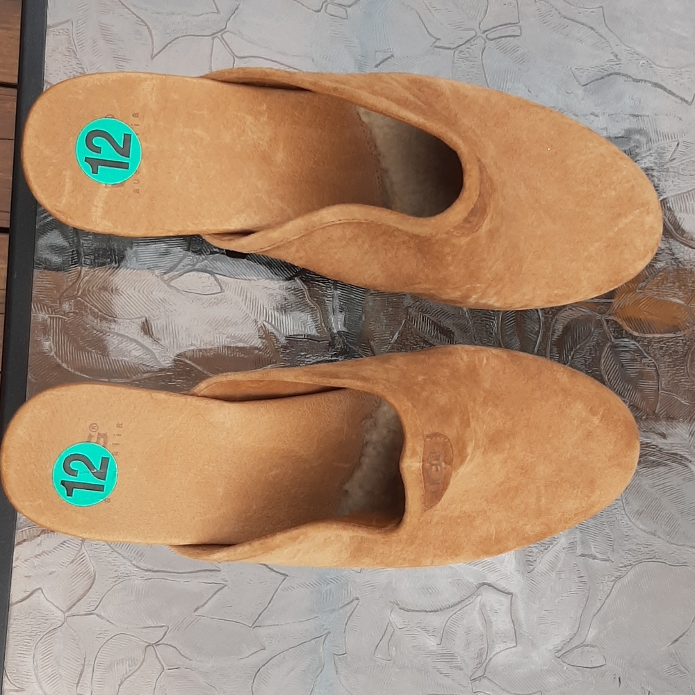 Uggs clogs
